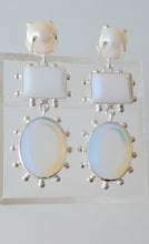 Load image into Gallery viewer, Fico d&#39;India Earrings
